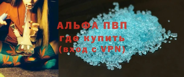 PSILOCYBIN Верхний Тагил