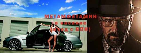 прущие грибы Бронницы