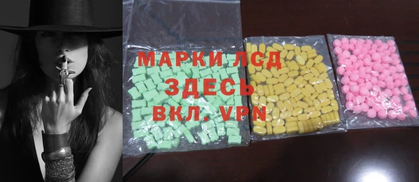 гашик Верея