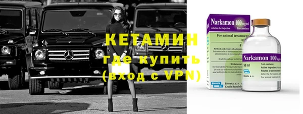 прущие грибы Бронницы