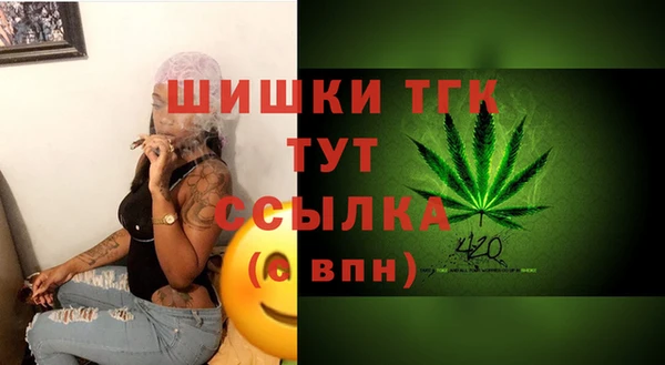 прущие грибы Бронницы