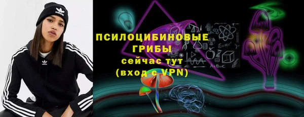 прущие грибы Бронницы