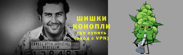 прущие грибы Бронницы