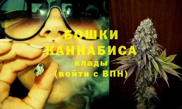 прущие грибы Бронницы