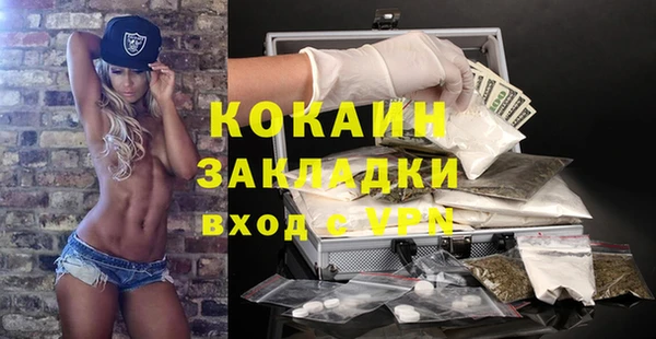 прущие грибы Бронницы