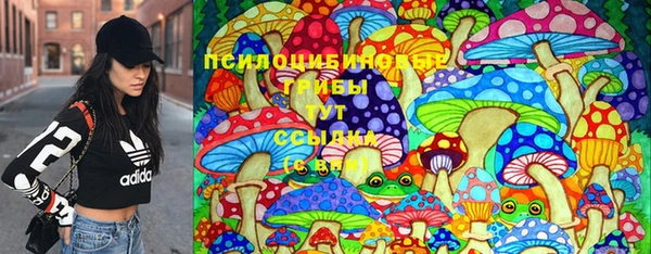 гашик Богородицк
