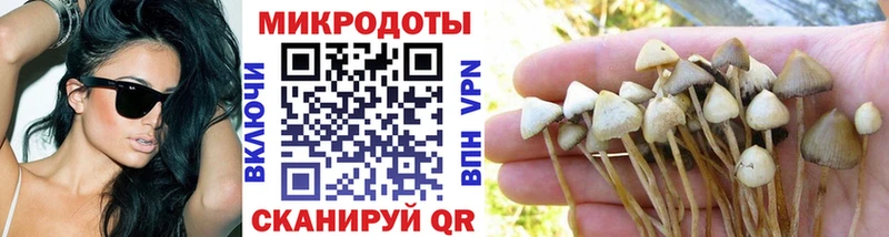 цена   Змеиногорск  блэк спрут ONION  Псилоцибиновые грибы Magic Shrooms 